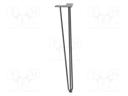 Foot