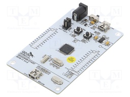 Dev.kit: ARM CORTEX-M4; USB B mini; GPIO,SWD,USB