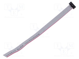 Ribbon cable with IDC connectors; Tape ph: 0.64mm; 152.4mm