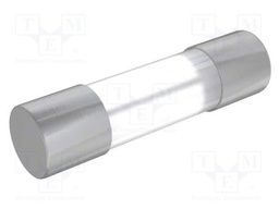 Fuse: fuse; time-lag; 1A; 250VAC; cylindrical,glass; 5x20mm; brass