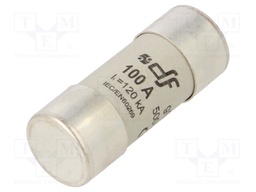 Fuse: fuse; gG; 100A; 500VAC; 80VDC; 22x58mm; copper; silver plated