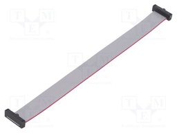 Ribbon cable with IDC connectors; Tape ph: 0.64mm; 152.4mm