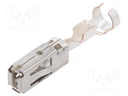 AMP MCP 2.8, CONTACT SWS (LP)