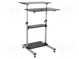 Mobile stand up computer workstation