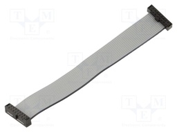 Ribbon cable with IDC connectors; IDC,both sides; Tape ph: 1mm