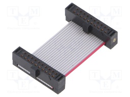 Ribbon cable with IDC connectors; Tape ph: 0.64mm; 25.4mm