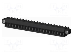 Connector: pluggable terminal block; plug; female; straight; 300V