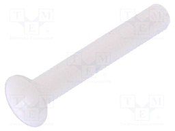 Screw; M3x20; 0.5; Head: countersunk; slotted; 1mm; polyamide