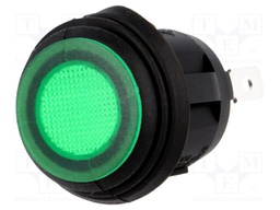 ROCKER; SPST; Pos: 2; OFF-ON; 10A/250VAC; green; IP65; 50mΩ; UL94V-2