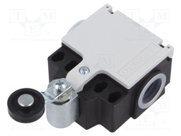 Limit switch; plastic roller Ø19mm; NO + NC; 10A; M20; IP65