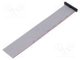 Ribbon cable with IDC connectors; Tape ph: 0.64mm; 152.4mm