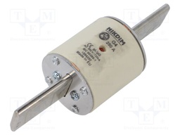 Fuse: fuse; gG; 250A; 500VAC; industrial; NHg