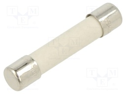 Fuse: fuse; time-lag; 15A; 250VAC; cylindrical,glass; brass; GSA