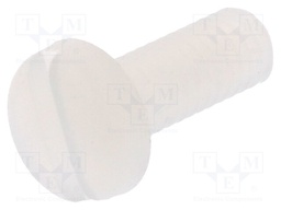 Screw; M3x8; 0.5; Head: cheese head; slotted; 0,9mm; polyamide