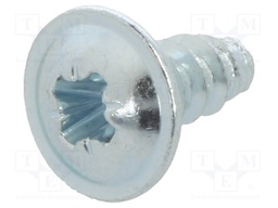 Screw; for plastic; 2,9x6,5; Head: button; Phillips; zinc; Size: PH1