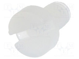 Screw; M2,5x4; DIN: 84; Head: cheese head; slotted; polyamide; 0,6mm