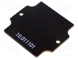 Mounting plate
