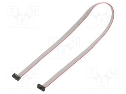 Ribbon cable with IDC connectors; Tape ph: 0.64mm; 381mm