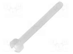 Screw; M2x20; DIN: 84; Head: cheese head; slotted; polyamide; 0,5mm