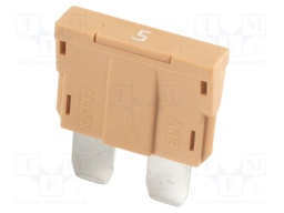 Fuse: fuse; 5A; 80VDC; automotive; 19mm; 19x5.1x20mm
