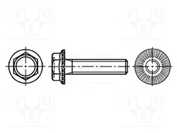 Screw; with flange; Head: hexagonal; none; steel; zinc