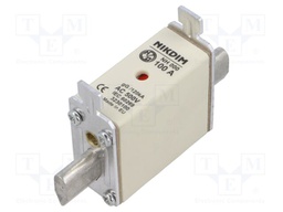 Fuse: fuse; gG; 100A; 500VAC; industrial; NH000