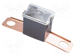 Fuse: fuse; 100A; 32VDC; automotive; 62mm; 62x15.2x22.2mm