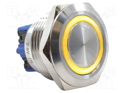 Switch: vandal resistant; DPST-NO + DPST-NC; 2A/48VDC; IP65; PV9