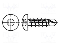Screw; 3,5x19; Head: cheese head; octagon; hardened steel; zinc