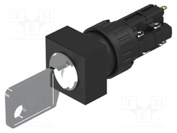 Switch: rotary with key; Stabl.pos: 2; NC x2 + NO x2; Pos: 2; 51