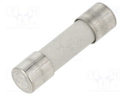 Fuse: fuse; medium time-lag; 10A; 250VAC; cylindrical,glass; brass