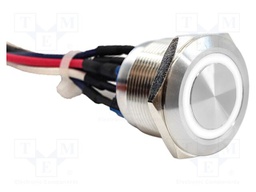 Switch: vandal resistant; DPST-NO + DPST-NC; 2A/48VDC; IP65; PV8