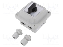 Switch: cam switch; Stabl.pos: 2; 16A; 0-1; Mounting: wall mount