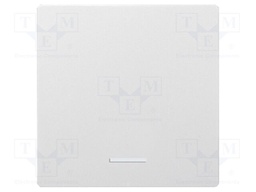 Cover plate; intelligent house,buttons and switches; single