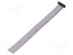Ribbon cable with IDC connectors; Tape ph: 0.64mm; 152.4mm