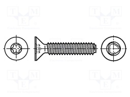 Screw; 6x30; Head: countersunk; Torx®; TX30; A2 stainless steel