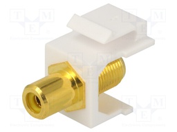 Socket; Transition: adapter; female x2; Keystone; straight