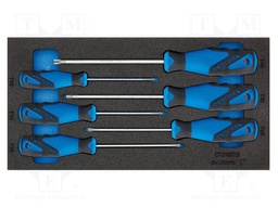 Kit: screwdrivers; in a foam tray; Torx®; tool trolley; 6pcs.