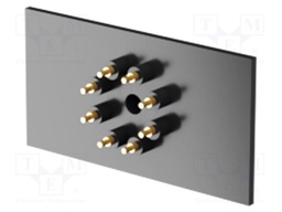 Rear panel