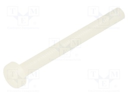 Screw; M3x30; 0.5; Head: cheese head; Pozidriv; 0,8mm; polyamide