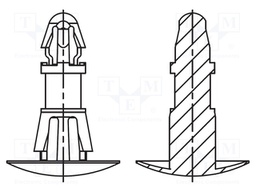 Assembly stud; polyamide 66; L: 8mm; latch/latch; Colour: natural