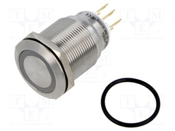 Switch: vandal resistant; Pos: 2; SPDT; 3A/220VAC; 5A/24VDC; IP65