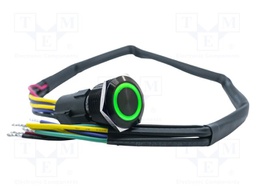 Switch: vandal resistant; DPDT; 3A/250VAC; IP67; ON-ON; green; 24V