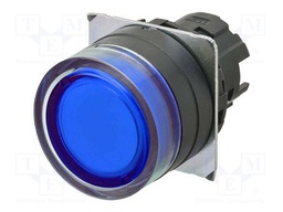 Switch: push-button; 22mm; Stabl.pos: 2; flat; Pos: 2