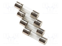 Fuse; 100mA; 250V; 4pcs.