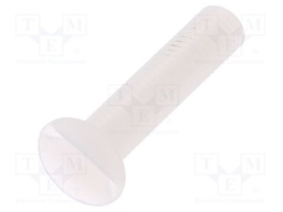 Screw; M5x25; 0.8; Head: countersunk; slotted; 1,4mm; polyamide