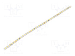 LED tape; white cold; LED/m: 168; SMD; 2835; 24V; 5mm; without cover