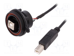 Socket; USB B; USB B plug,USB B socket-front; USB Buccaneer