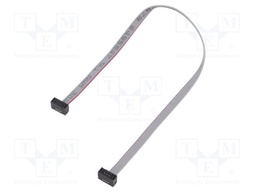 Ribbon cable with IDC connectors; Tape ph: 0.64mm; 203.2mm