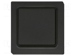 Wireless push button; EnOcean; 30m; Ch: 2; intelligent house